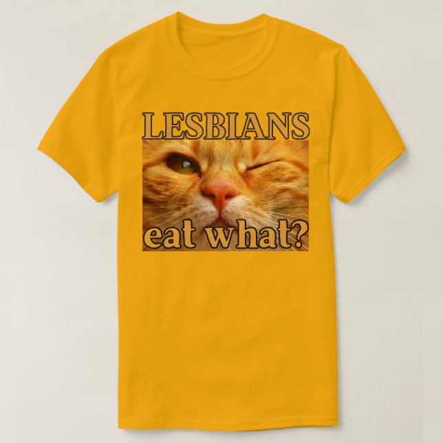 Camiseta Lésbicas Comem O Quê? Gato Laranja Engraçado  (Frente do Design)