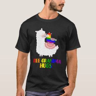 Camiseta LGBT Orgulho Livre Vovó Abraça Llama Família Arco-