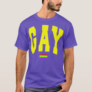 Camiseta Lgbtq Orgulho Gráfico Arco-Íris Sinalizador Direit