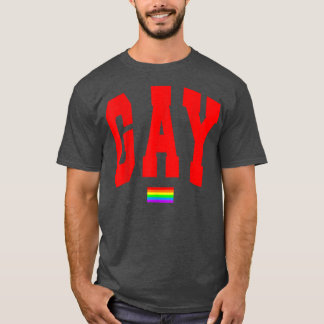 Camiseta Lgbtq Orgulho Gráfico Arco-Íris Sinalizador Direit
