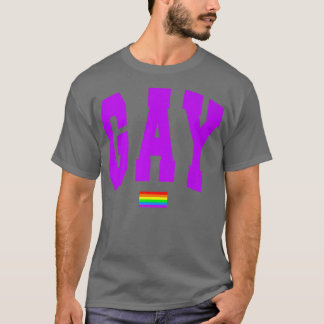 Camiseta Lgbtq Orgulho Gráfico Arco-Íris Sinalizador Direit