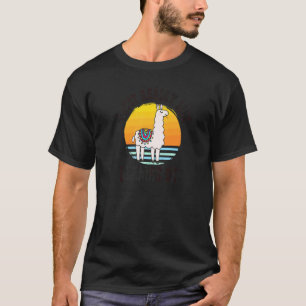 Camiseta Lhama  Eu Só Realmente Gosto de Lhamas Ok  Animal