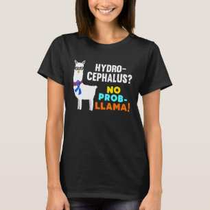 Camiseta Lhama Sem Problema Hidrocefalia Guerreiro Sobreviv