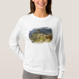 Camiseta Lhamas e uma vista geral de Machu Picchu,