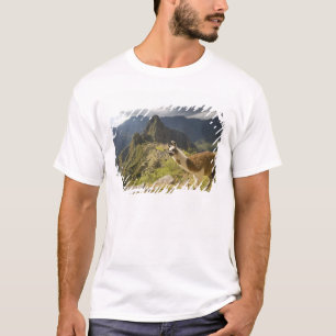 Camiseta Lhamas e uma vista geral de Machu Picchu,