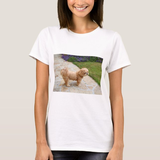 Camiseta Lhasa Apso cão num jardim (Frente)