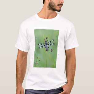 Camiseta Libélula pousada na grama, Canadá
