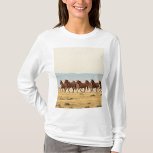 Camiseta Liberdade selvagem: Cavalos em movimento