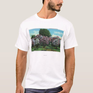 Camiseta Lilacs de Highland Park na flor