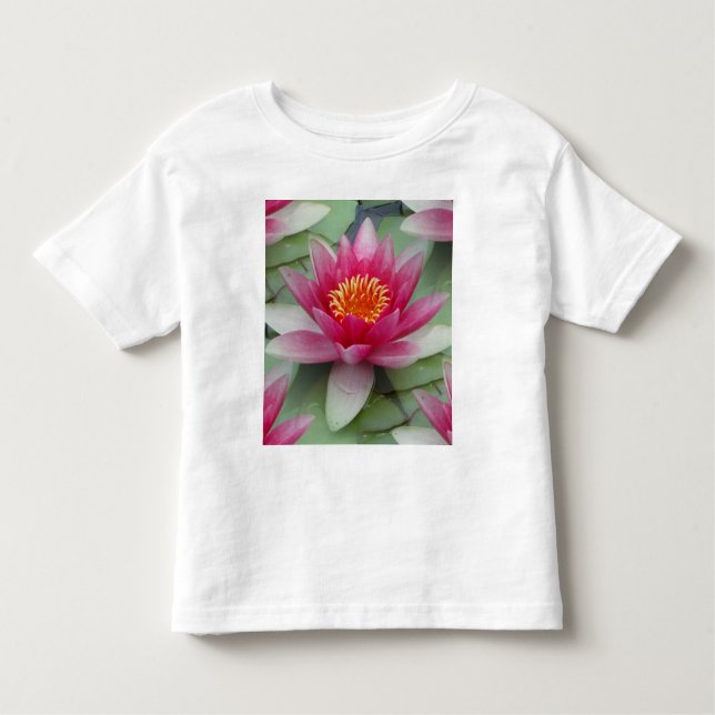Camiseta Lily de Água do Lotus Rosa (Frente)