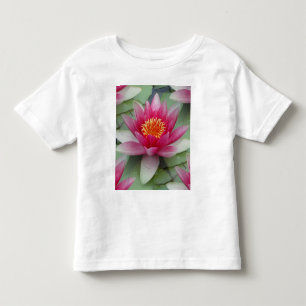 Camiseta Lily Lily De Água De Lotus Rosa