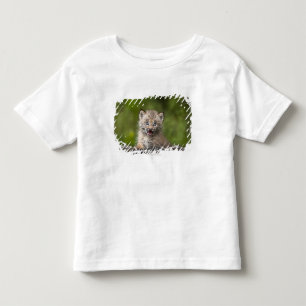 Camiseta Lince do bebê que olha sobre a árvore caída A