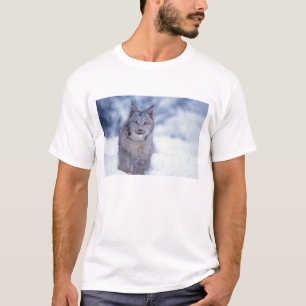 Camiseta lince, lince do lince, na neve nos montes de