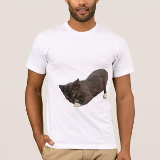 Camiseta Linda Imagem de Gato