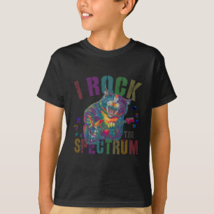Camiseta Lindo Eu Balanço O Espectro Autismo Mãe Motivacion