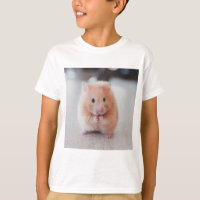 Lindos Hamsters Amam Animais