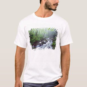 Camiseta Linn Cove Creek em cascata através da névoa