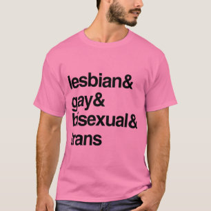 CAMISETA LISTA LGBT