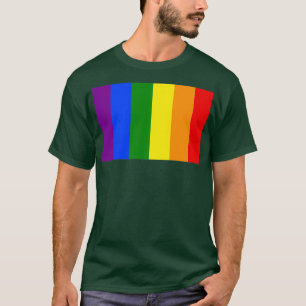 Camiseta Listras arco-íris verticais