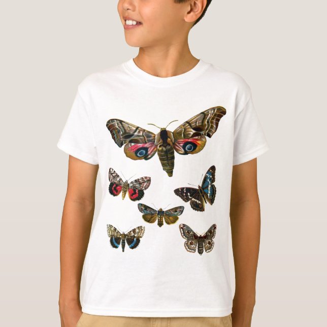 Camiseta Litografia da borboleta (Frente)