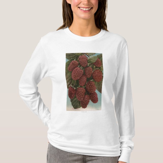 Camiseta Litografia de Chromo da fruta de LoganberriesState (Frente)