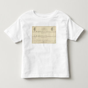 Camiseta Litografia insana, estatística 1870 dos E.U.