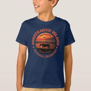Camiseta Litoral do nacional da ilha de Assateague