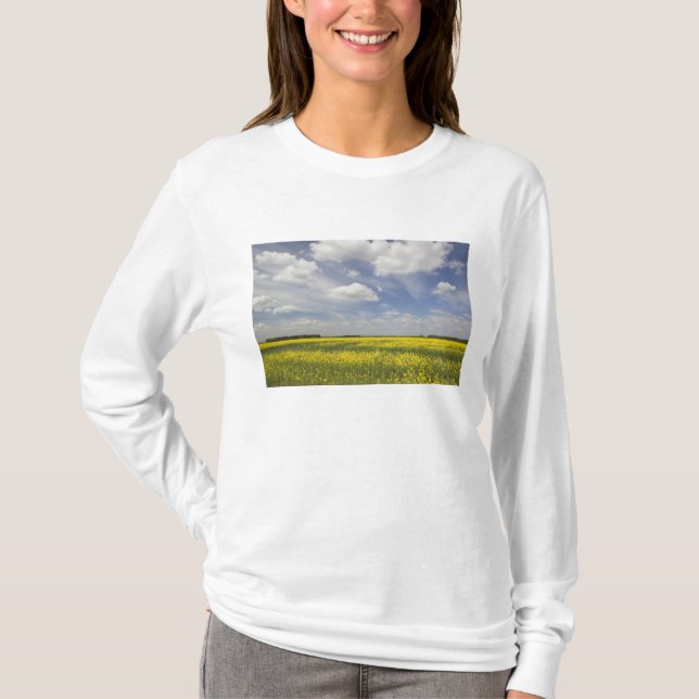 Camiseta Lituânia, Lituânia Central, Joniskis, campo de (Frente)