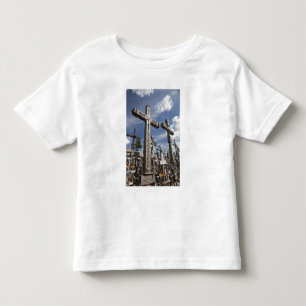 Camiseta Lituânia, Lituânia Central, Siauliai, Colina 3
