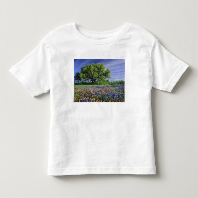 Camiseta Live Oak & Texas Paintbrush, e Texas (Frente)