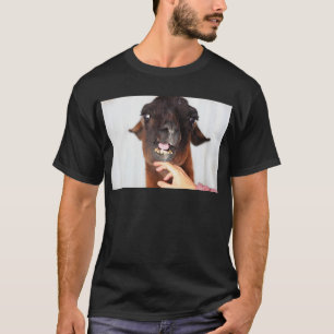Camiseta Llama Love