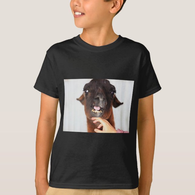 Camiseta Llama Love (Frente)