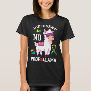 Camiseta Llama não tem problema com o enigma