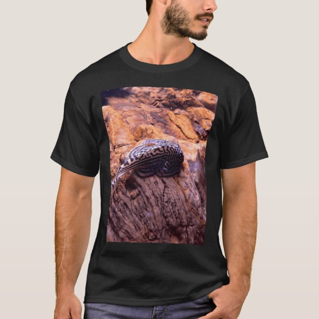 Camiseta Locha de riacho de montanha (Frente)