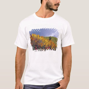 Camiseta Logan Canyon em Utah no outono com tempestade pass