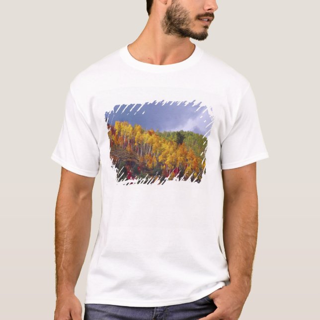 Camiseta Logan Canyon em Utah no outono com tempestade pass (Frente)