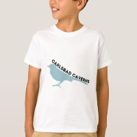 logotipo do parque Carlsbad Caverns mockingbird