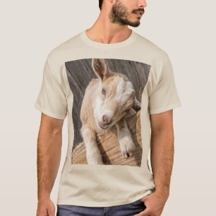 Camiseta Lona de Fotografia de Casa de Campo Rústica com Bo