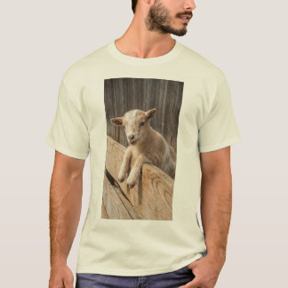 Camiseta Lona de Fotografia de Casa de Campo Rústica com Ca