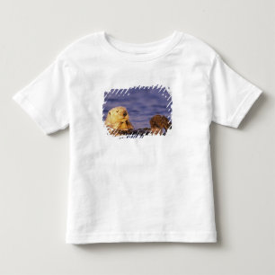 Camiseta Londras Marinhas, Enhydra lutris 4