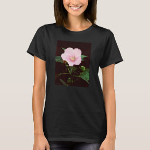 Camiseta longa-Capa das rosa Mallow Damies