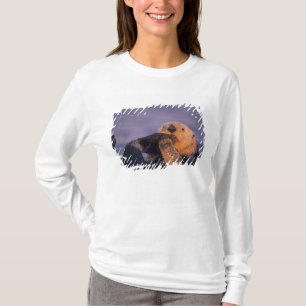 Camiseta Lontra Marinha, Enhydra lutris
