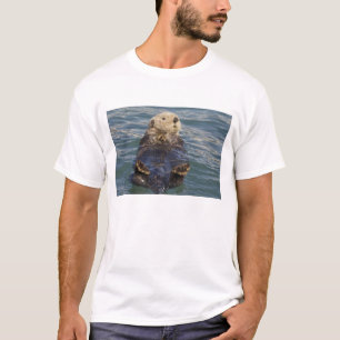 Camiseta Lontras marinhas brincam em icebergs na Enseada Su