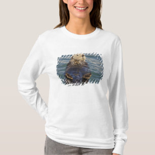 Camiseta Lontras marinhas brincam em icebergs na Enseada Su