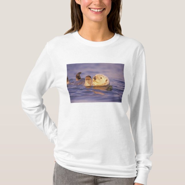 Camiseta Lontras Marinhas, Enhydra lutris (Frente)