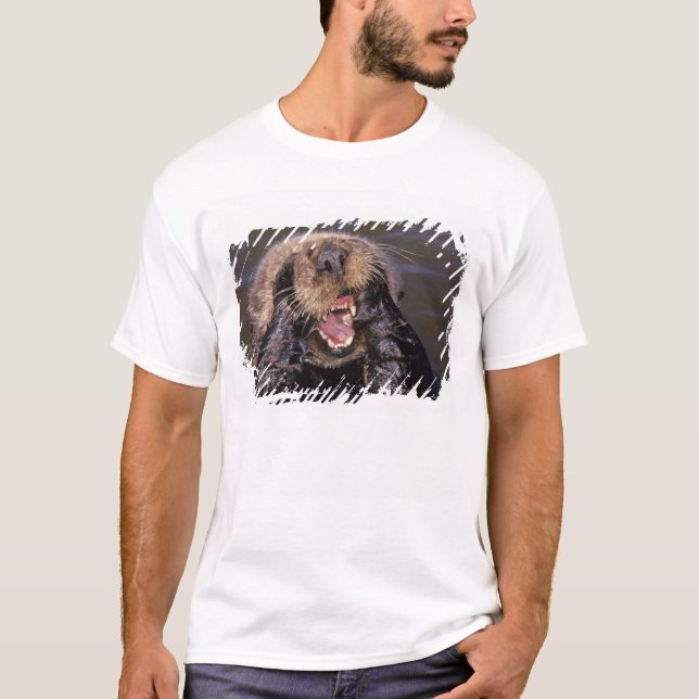 Camiseta Lontras Marinhas, Enhydra lutris 6 (Frente)