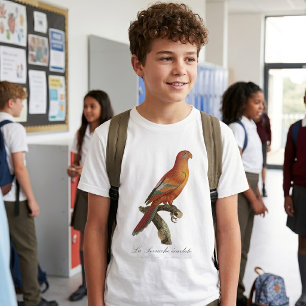 Camiseta Lóri-de-bornéu, Trichoglossus borneus