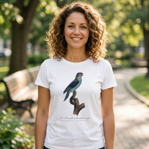 Camiseta Loriqueito-de-musk, Trichoglossus concinnus