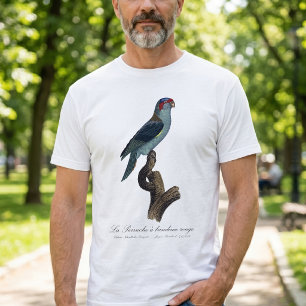 Camiseta Loriqueito-de-musk, Trichoglossus concinnus