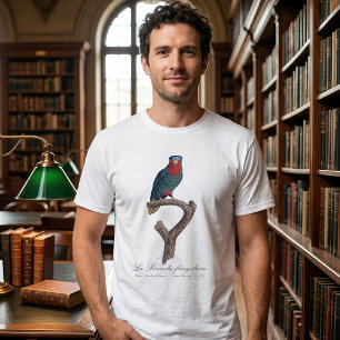 Camiseta Loriqueut de Coroa Azul, Vini Australis